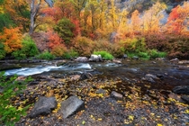 Fall Along the Ogden River 