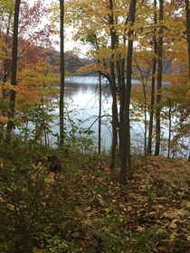 Fall at Hudson springs park Hudson Ohio oc x