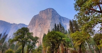 Fall colors and El Capitan from Yosemite Valley Yosemite National Park CA USA  x
