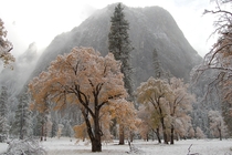 Fall colors and first snowfall in Yosemite 