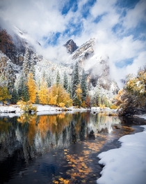 Fall colors and fresh snow forming a perfect combination in Yosemite National Park California 