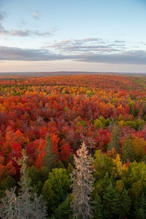 Fall colors at sunset over Minnesota 