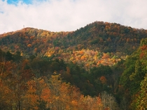 Fall Colors at the Great Smoky Mountains 
