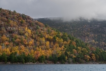 Fall Colors in Acadia National Park Maine 