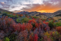 Fall colors in Idaho City Creek Trail in Pocatello ID 