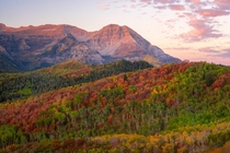 Fall Colors in Northern Utah Mt Timpanogos 