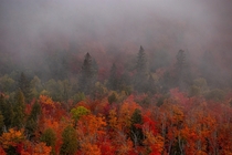 Fall colors in the arrowhead of Minnesota 
