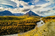 Fall Colors in the Matanuska Valley Alaska 