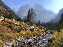 Fall Colors in the Tetons Wyoming USA 