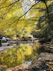 Fall colors on Deckers Creek West Virginia 