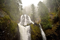 Fall Creek Falls Oregon 
