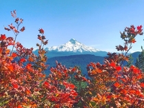 Fall Day Mt Jefferson Oregon 