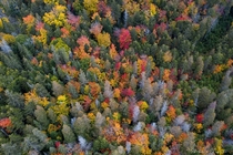 Fall foliage of Adirondack mountains in NY 