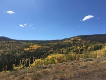 Fall in Colorado 