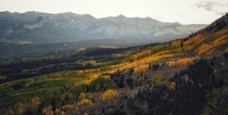 Fall in Crested Butte Colorado 