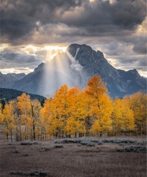 Fall in Grand Teton National Park Wyoming 