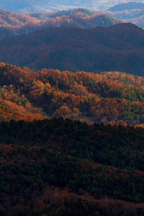Fall in the Blue Ridge Mountains in North Carolina 