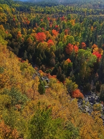 Fall in the Lanark Highlands Ontario Canada  OC