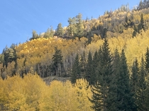 Fall in the San Juan Mountains Western Colorado 