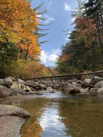 Fall in the White Mountain National Forest New Hampshire 