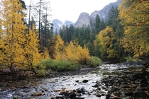 Fall in Yosemite Valley CA  OC