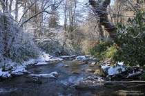 Fall Meets Winter Across a River - Smoky Mountains NP Tennessee x 