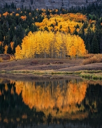 Fall Reflection in the Southwest Colorado Wilderness 