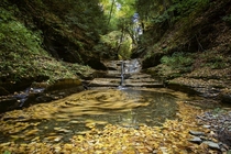 Fall Waterfall - Ithaca NYOC