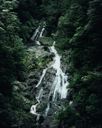 Fantail Falls NZ  albertholmes