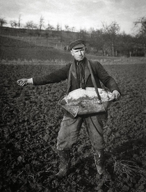 Farmer sowing  Photo by August Sander
