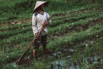 Farmer tending to his rice field Bali Indonesia Photo credit to Maksym Ivashchenko