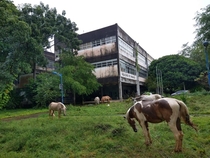 Federal University of Bahia Brazil four months of quarantine later