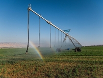 Field irrigation in Israel 