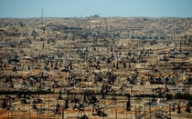 Field of Oil Pumpjacks in California USA 