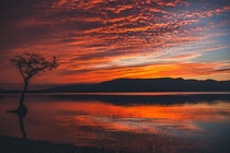 Fiery sunset - Loch Lomond Scotland 