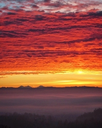 Fiery willamette valley sunset in Oregon a few weeks ago 