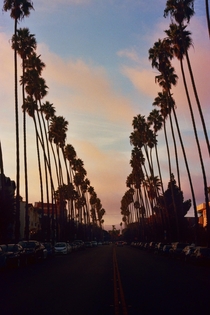 Film photo of Los Angeles California 