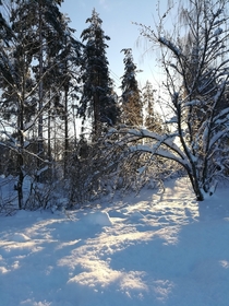 Finland in January