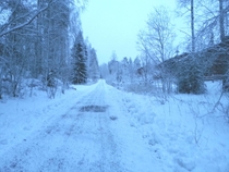 Finnish Winter 