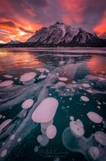 Fire and Ice - Bubbles and Cracks - Abraham Lake Canada 