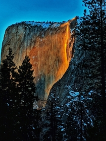 Firefall Yosemite x 
