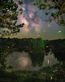 Fireflies amp Manistee River in Michigan Horseshoe Bend amp Dark Horse Nebula in Milky Way Time-Lapse Blend Panorama