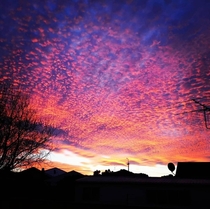 Firey sunset in Wellington NZ   