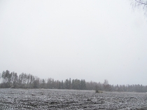 First Huge Snowfall in Jakobstad Finland  Taken by Fredrik Kldqvist