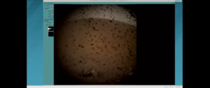 First image from InSight before the lens cap comes off