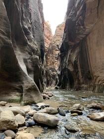 First one down the Narrows at Zion National Park in Utah this morning 