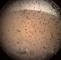 First picture taken by NASAs InSight