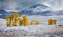 First snow in Yellowstones Lamar Valley - Blake DeBock Photography 