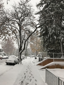 First Snow - NYC 