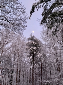First Snow of Winter- taken by my sister Virginia